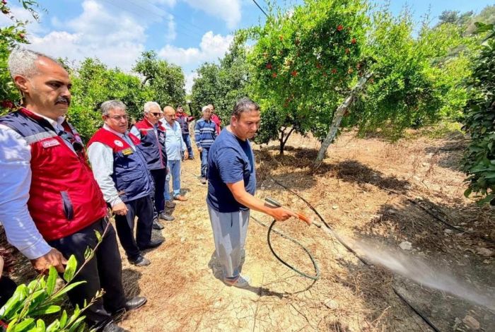 Akdeniz meyve sine�iyle m�cadele kesintisiz s�r�yor