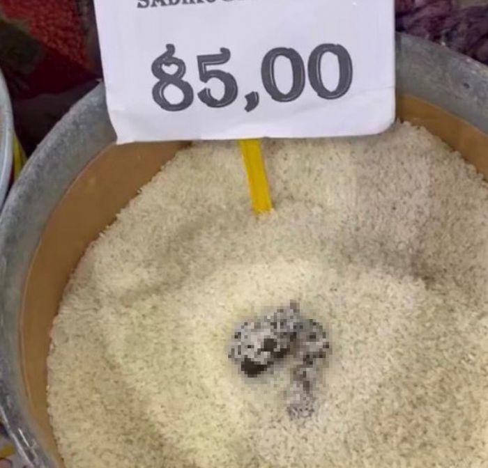 Mersin�de skandal g�r�nt�: Pirin�ten kedi d��k�s� ��kan markete ceza