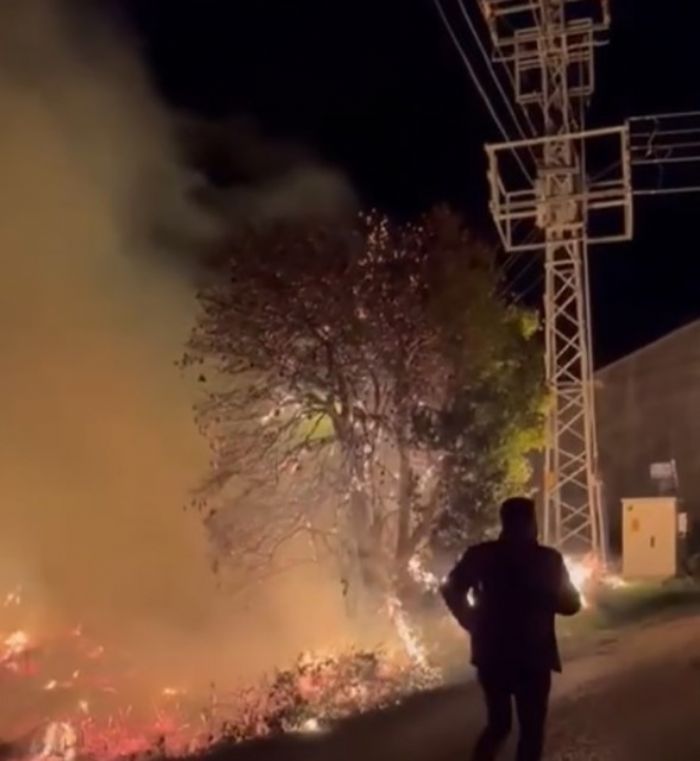 Mersin�de sazl�k alandaki yang�n s�nd�r�ld�: Bir sera zarar g�rd�