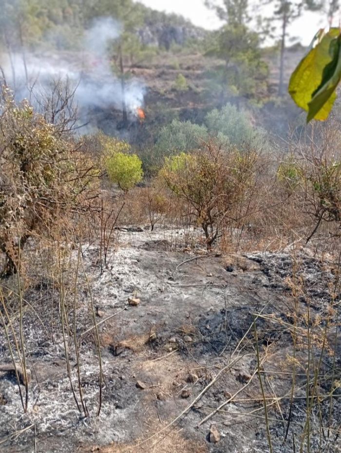 Yal adam, bahesini temizlerken yangnda hayatn kaybetti