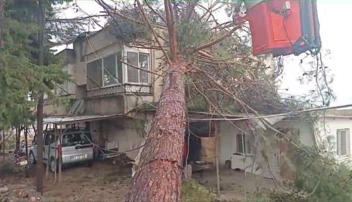 Mersin'de f�rt�na etkili oldu: A�a� evin �zerine devrildi