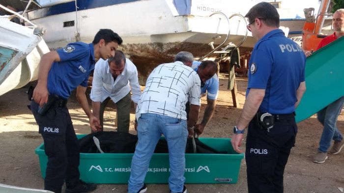 Mersin�de bal�k�� bar�na��nda erkek cesedi bulundu