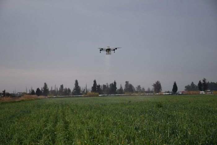 Mersin'de dronla g�breleme ve ila�lama �ift�inin zayiat�n� s�f�ra indirdi, zamandan tasarruf sa�lad�