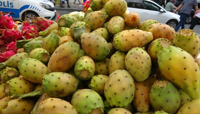 Mersin'de doada kendiliinden yetien dikenli incir seyyar tezgahlarda