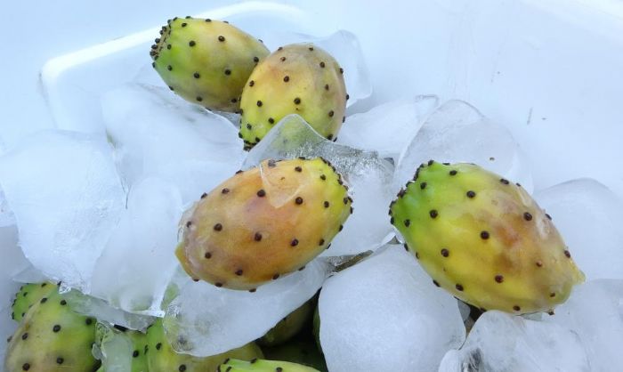 Mersin'de yaz aylar�n�n vazge�ilmezi dikenli incir tezgahlardaki yerini ald�
