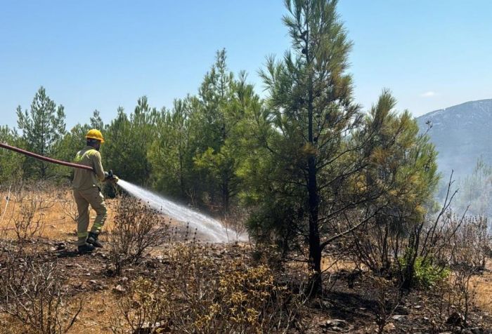 Mersin'de 4 ayrı noktada çıkan orman yangınları söndürüldü