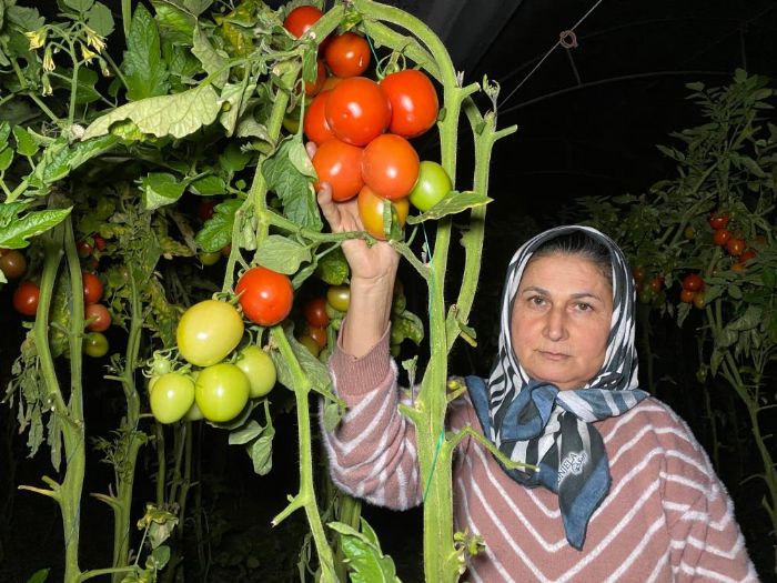 Termometreler eksiyi g�rd�, zirai don n�beti ba�lad�