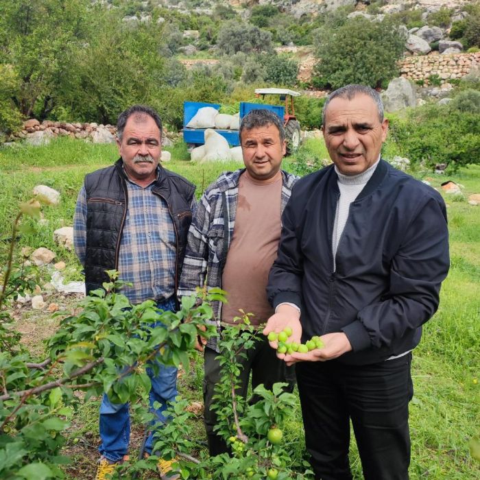 Dolu afeti sonras� hasar tespit �al��malar�na ba�land�