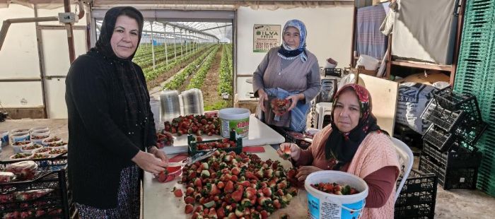 Kad�nlar G�n�n� tarlada �al��arak kutlad�lar