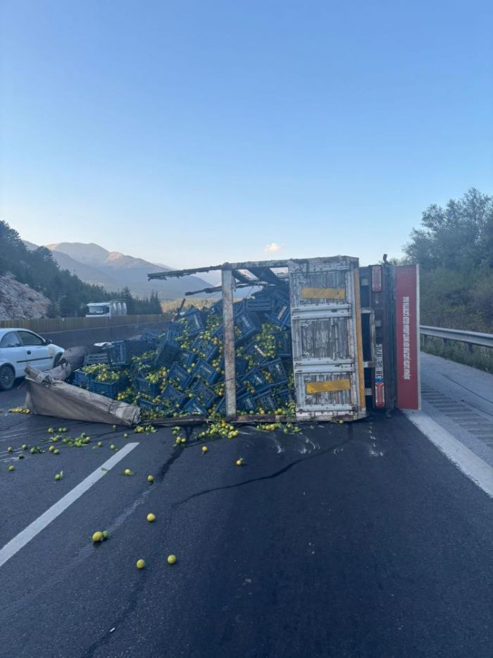 Tarsusta narenciye ykl kamyon devrildi