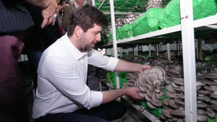 Tarsusta istiridye mantar kursunda ilk hasat sevinci