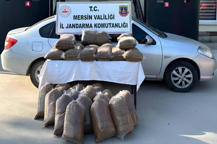 Mersin'de 310 kilo kaak ttn ele geirildi